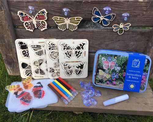 Butterflies and Bees Suncatcher Kit